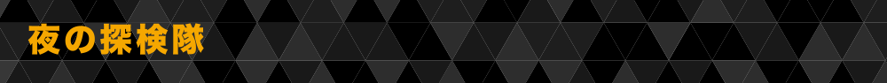 夜の探検隊